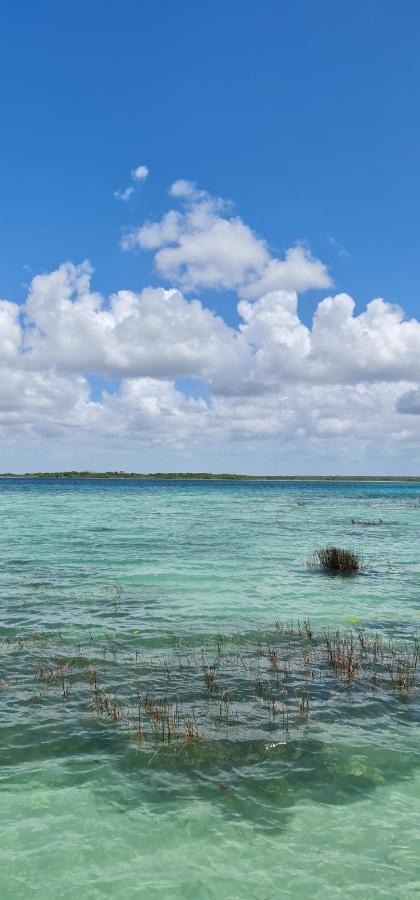 ホテル Casita Maya バカラル エクステリア 写真